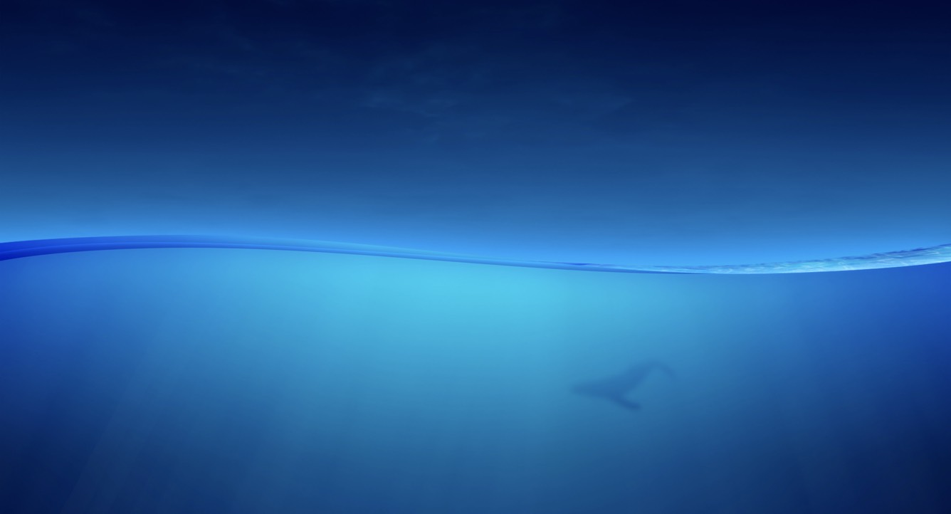 Ocean